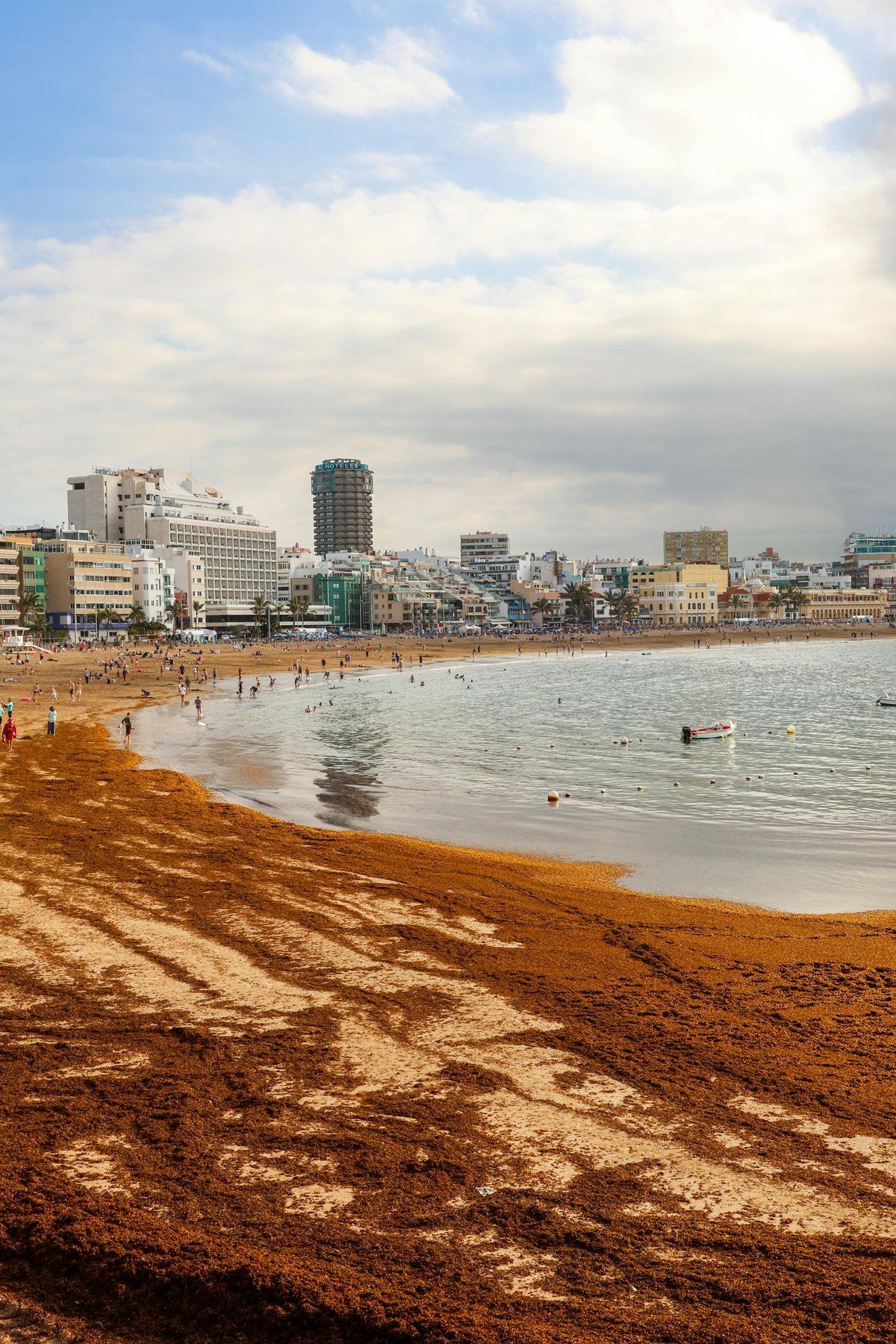 como hacer amigos nuevos en las palmas de gran canaria