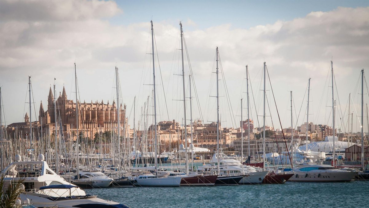 como hacer amistades nuevas en palma de mallorca