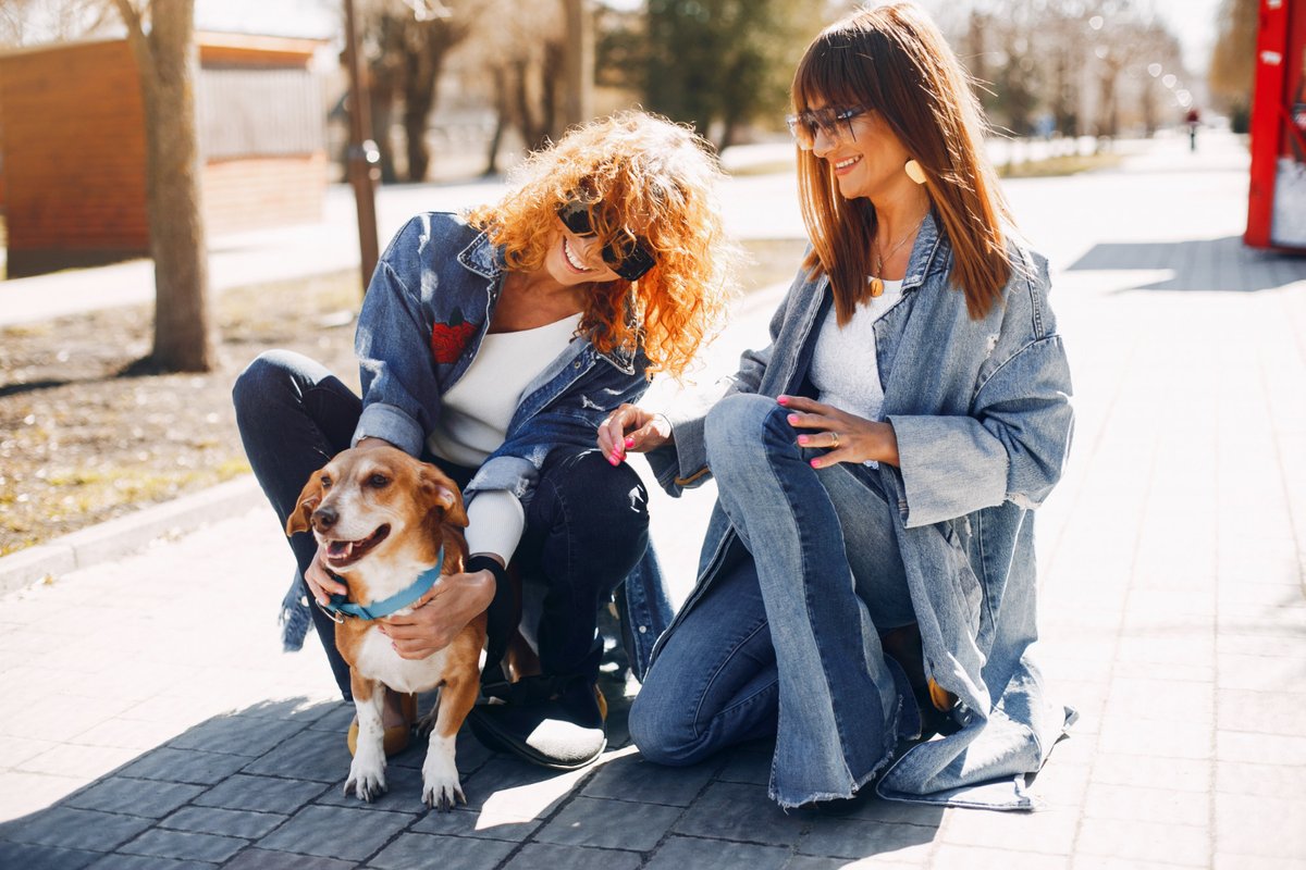 como hacer nuevas amistades paseando perros en a coruña