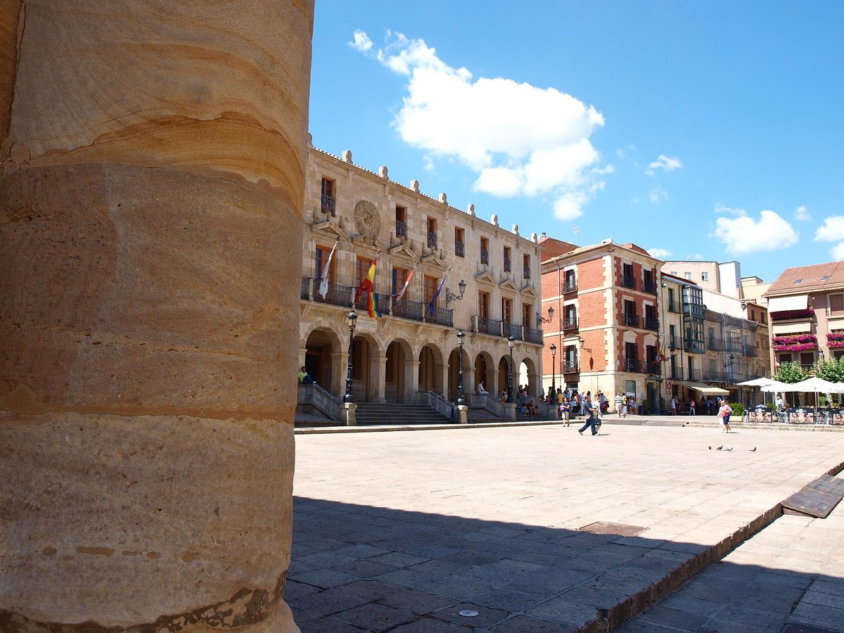 conocer amigos nuevos en soria