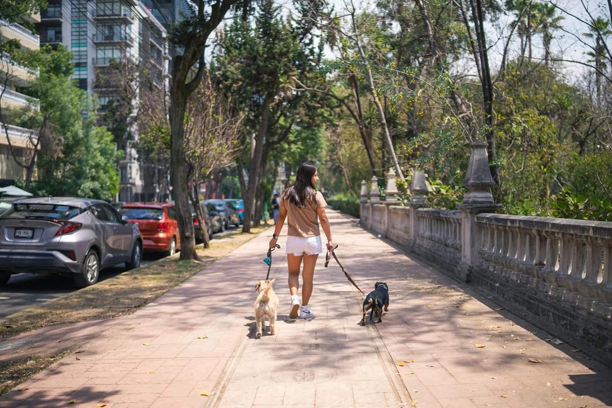 conocer gente nueva paseando al perro