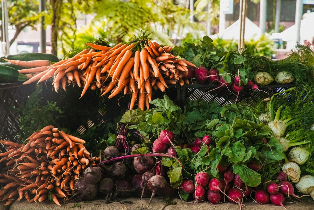 encuentra amigos nuevos con los que probar lo que recoletas de tu huerto