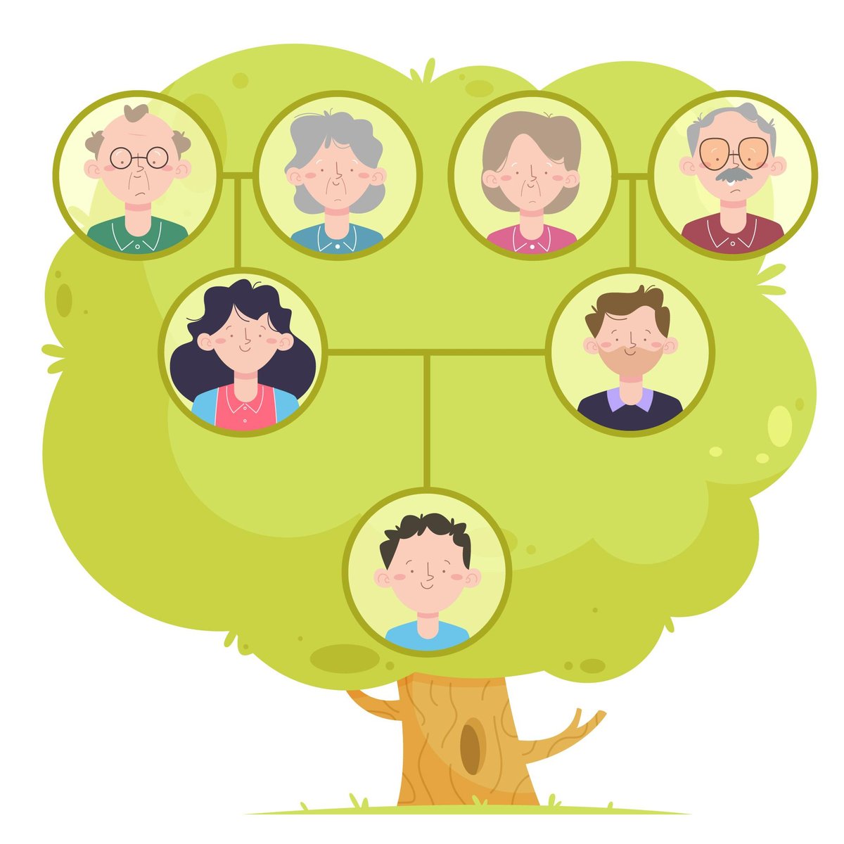 genealogia, aprende a crearla