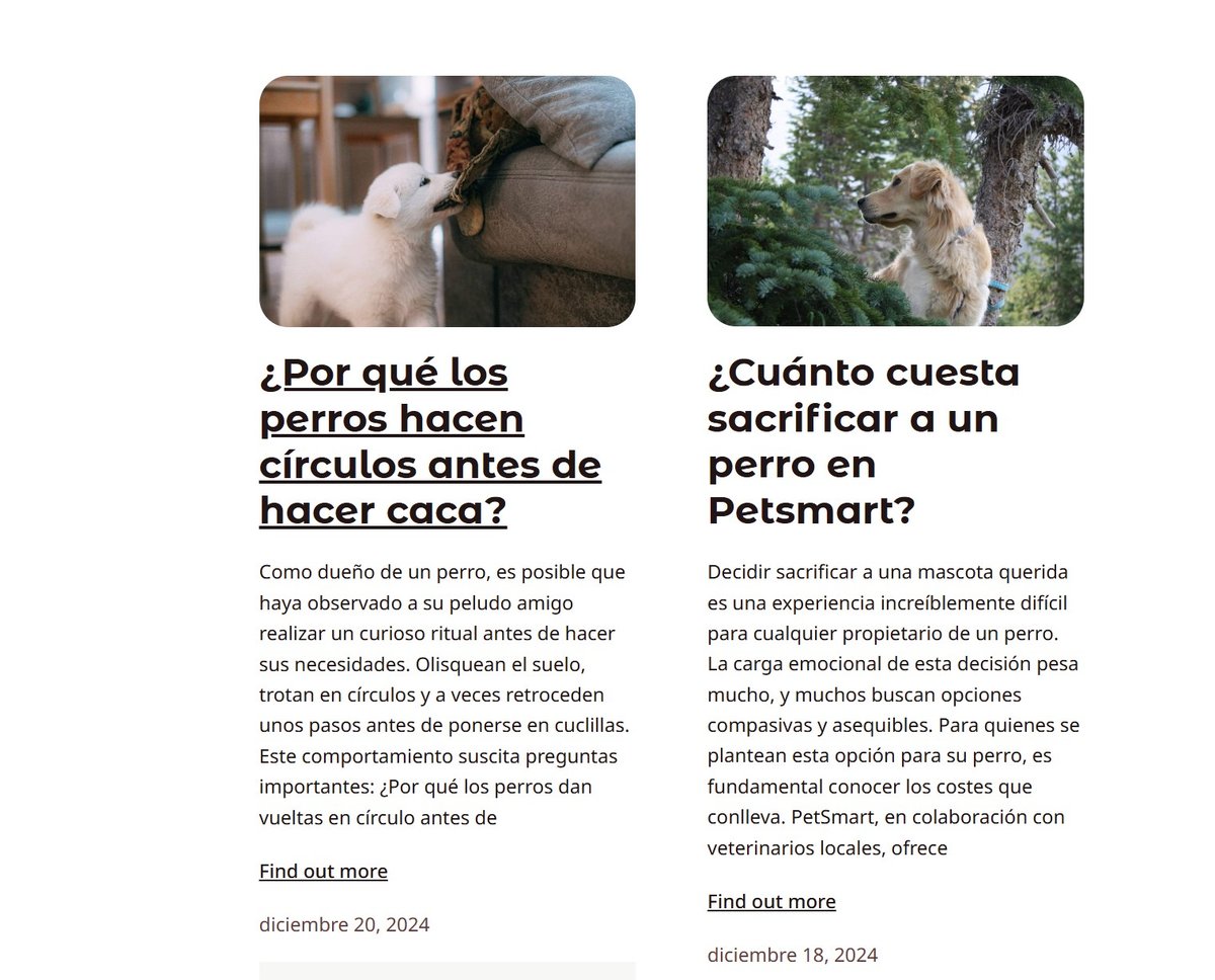 Dogo App: Entrenador canino en tu bolsillo para paseos tranquilos