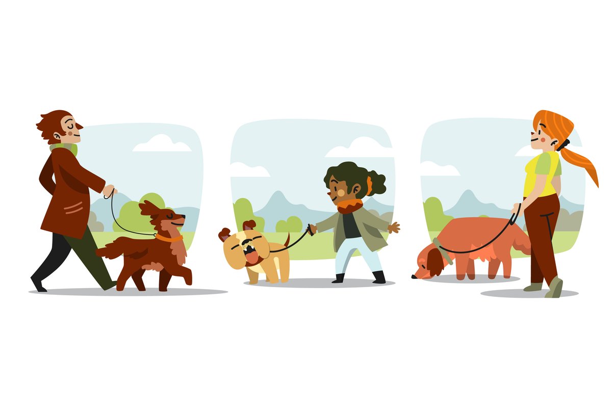 hacer amigos paseando al perro.jpg